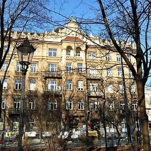 Cat Kraków